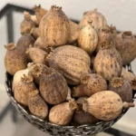 British Dried Poppy Pods weight approx (Half kg)