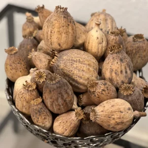 British Dried Poppy Pods weight approx (Half kg)