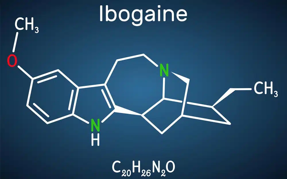 ibogaine therapy.jpg